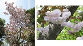今日はフォト日和 4月21日