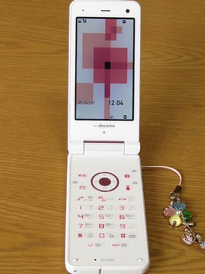 f:id:sa_to_e:20110527204529j:image:left f:id:sa_to_e:20110527204529j:image:left