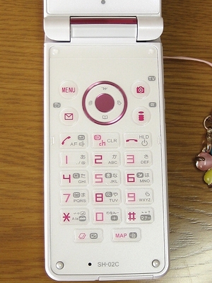 f:id:sa_to_e:20110527204530j:image f:id:sa_to_e:20110527204530j:image