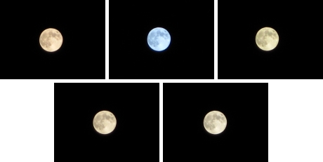 今日はフォト日和　9月12日