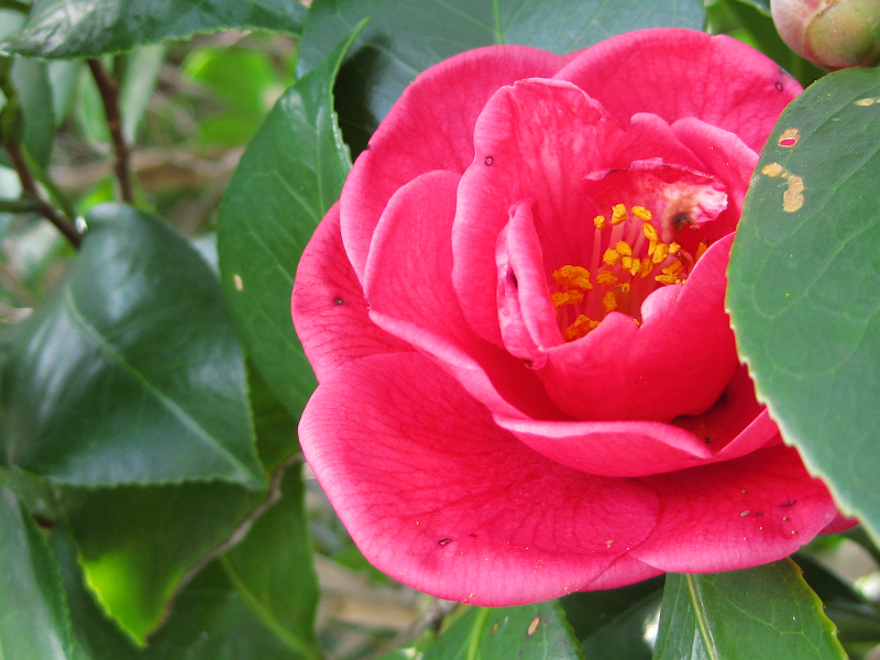 f:id:sa_to_e:20120224203732j:image:w400