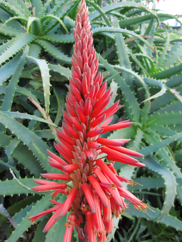 f:id:sa_to_e:20120331205922j:image:h400