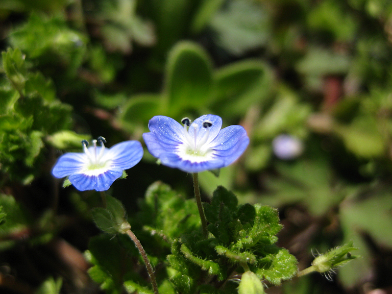 f:id:sa_to_e:20120331205936j:image:w400