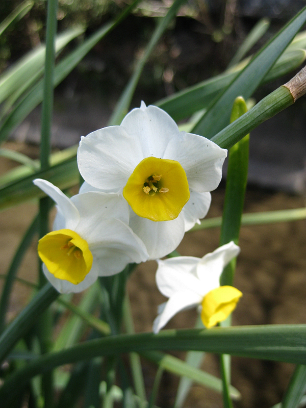 f:id:sa_to_e:20120331205938j:image:h400