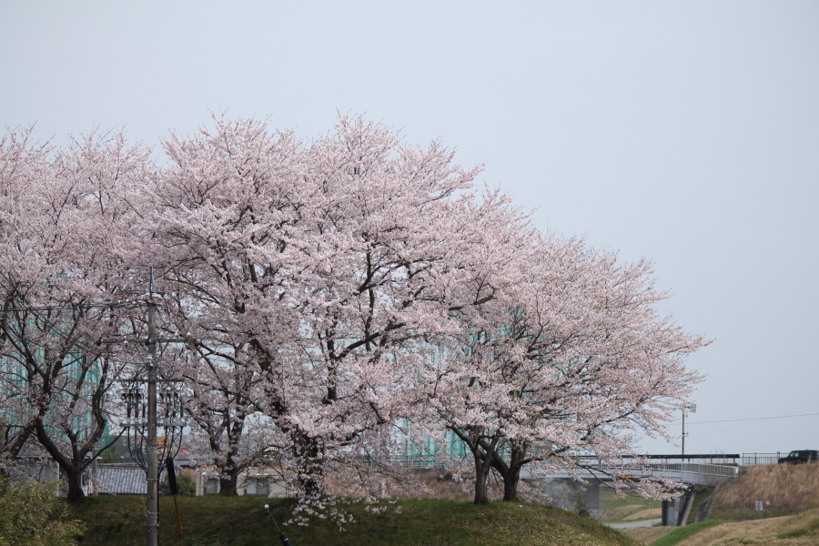 f:id:sa_to_e:20120413210745j:image:w450