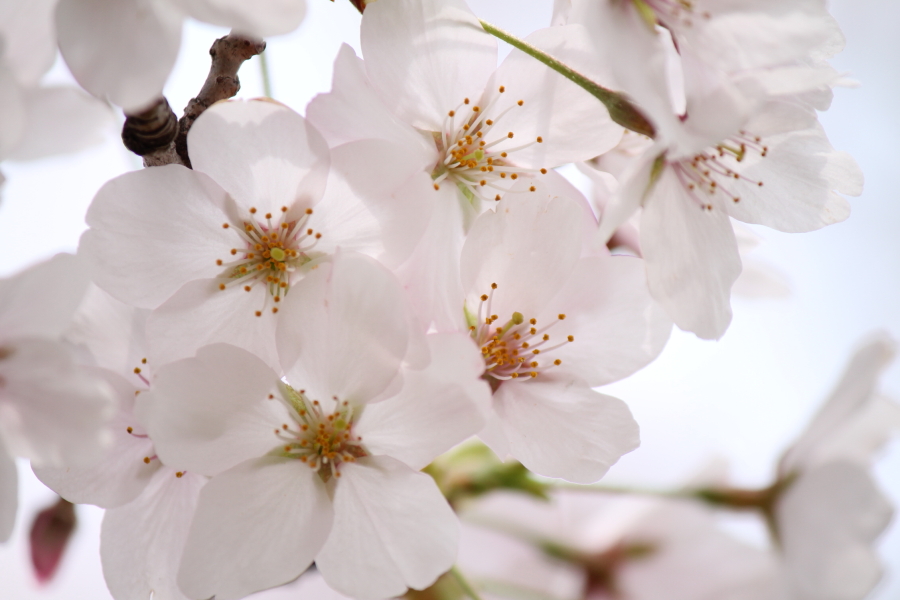 f:id:sa_to_e:20120413210750j:image:w450