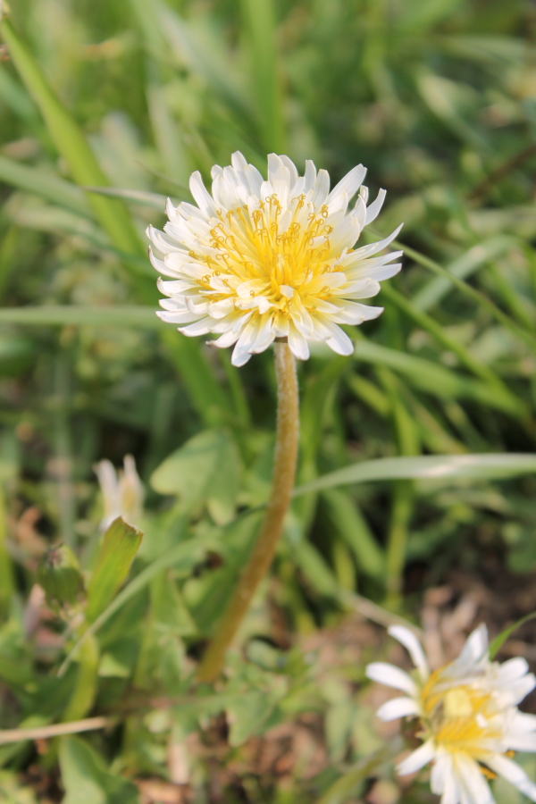 f:id:sa_to_e:20120416205946j:image:h450