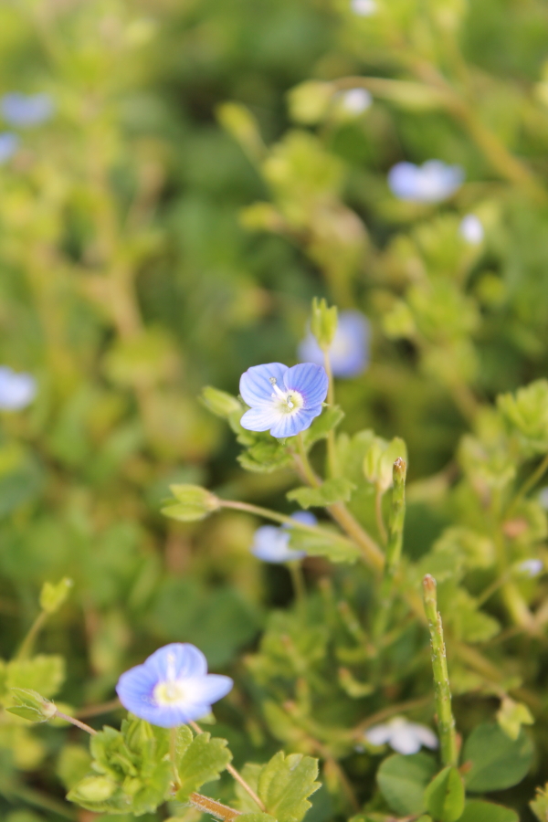 f:id:sa_to_e:20120416205950j:image:h450