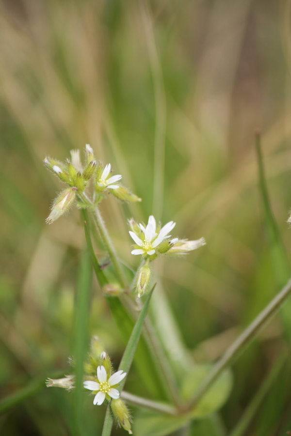 f:id:sa_to_e:20120416205956j:image:h450