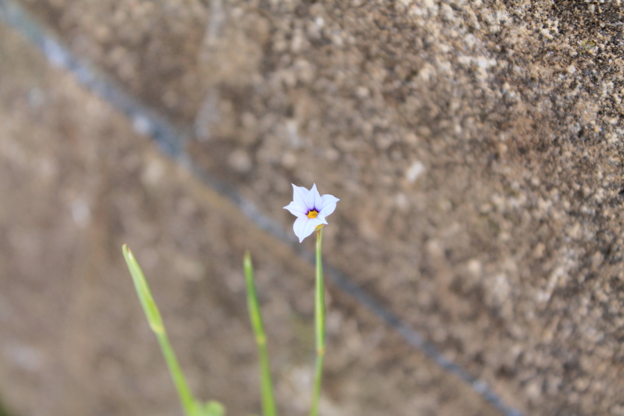 f:id:sa_to_e:20120507211545j:image:w450