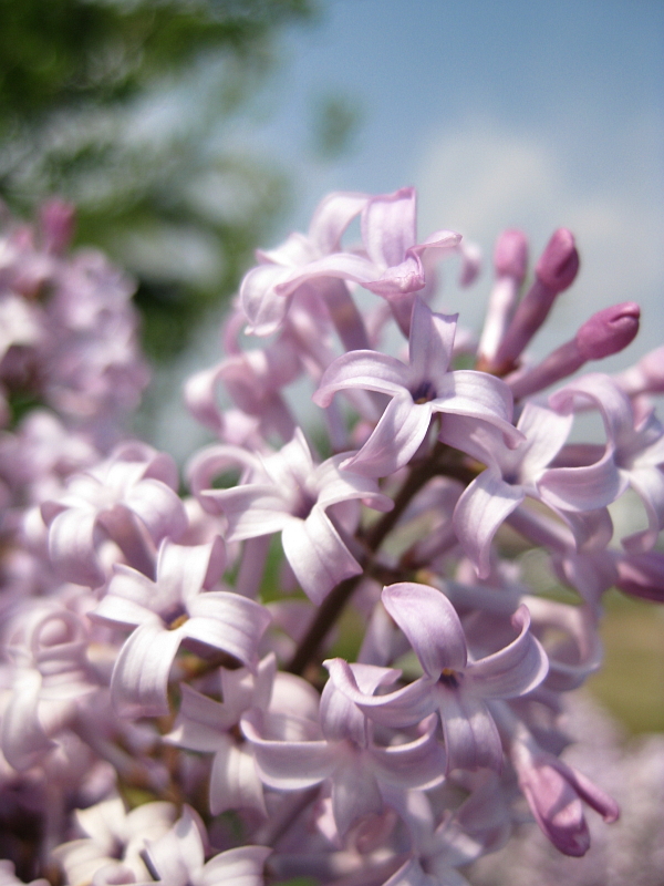 f:id:sa_to_e:20120531203843j:image:h400