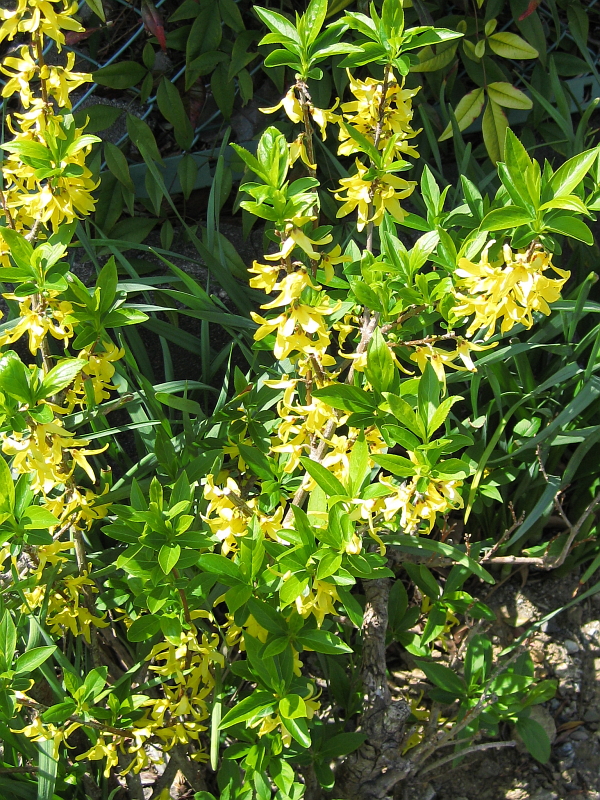 f:id:sa_to_e:20120531203850j:image:h400