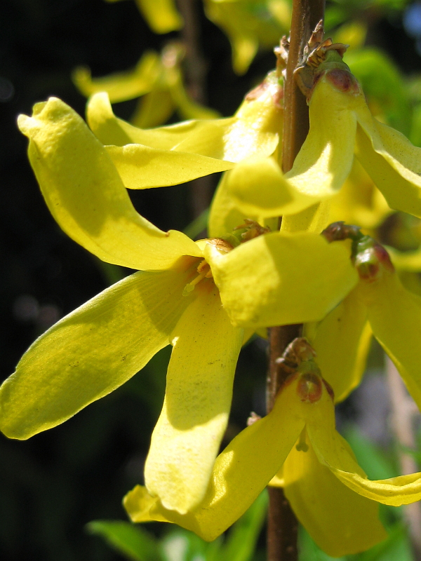f:id:sa_to_e:20120531203852j:image:h400