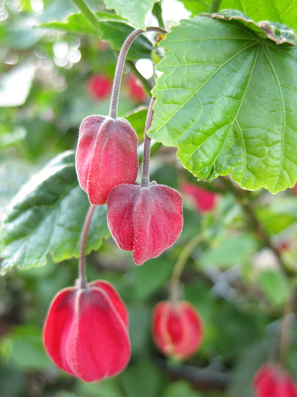 f:id:sa_to_e:20120531203902j:image:h400