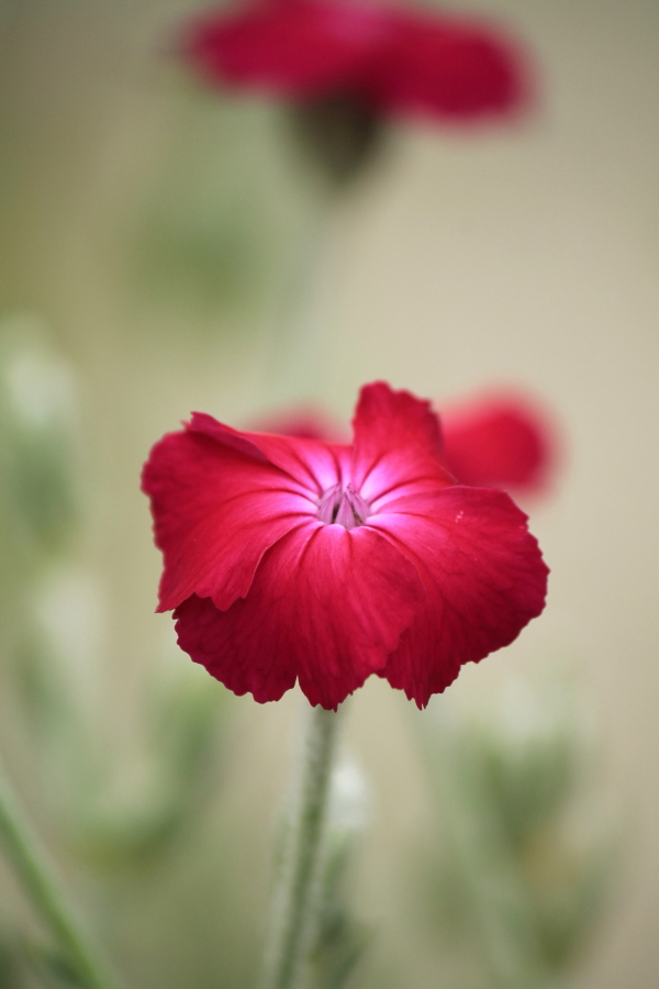 f:id:sa_to_e:20120613204624j:image:h450 f:id:sa_to_e:20120613204624j:image:h450