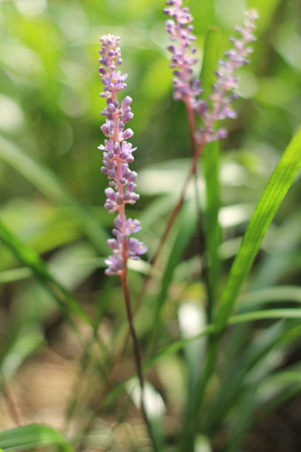 f:id:sa_to_e:20120923210214j:image:h450 f:id:sa_to_e:20120923210214j:image:h450