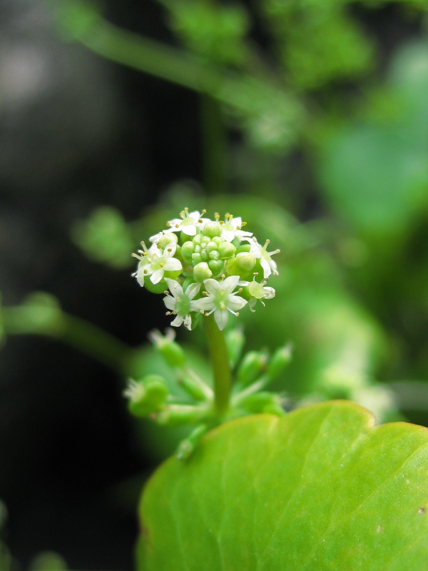 f:id:sa_to_e:20120923210220j:image:h450 f:id:sa_to_e:20120923210220j:image:h450
