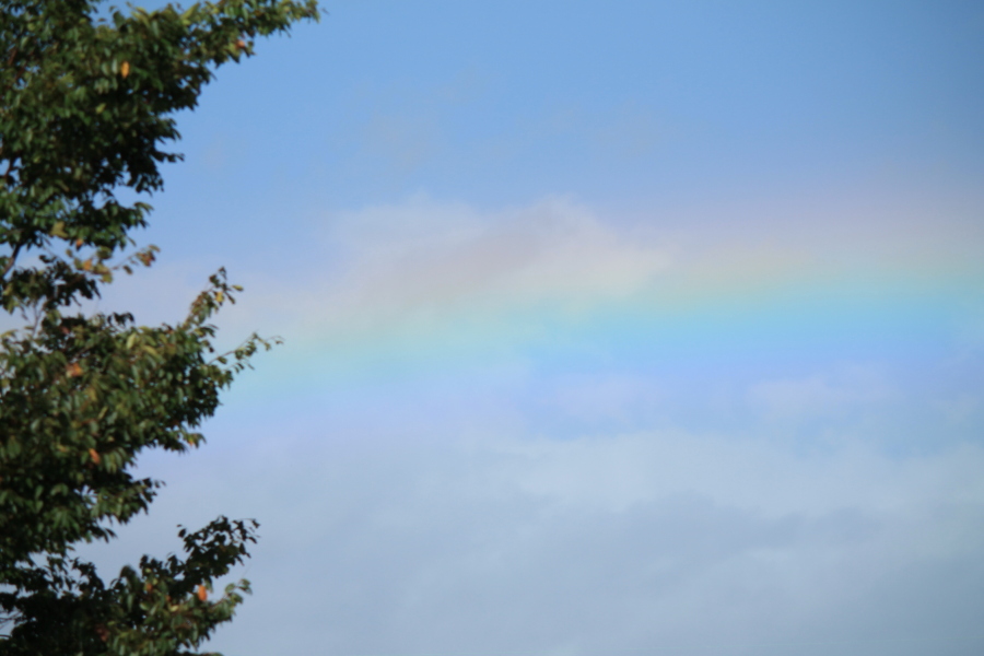 f:id:sa_to_e:20120929204752j:image:w450