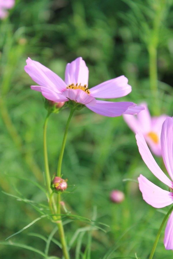 f:id:sa_to_e:20121003205055j:image:h450