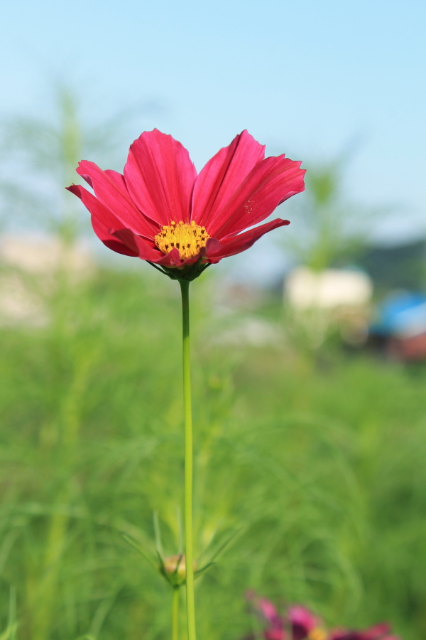 f:id:sa_to_e:20121003205056j:image:h450