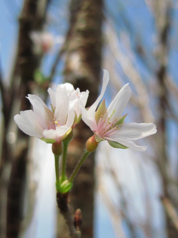 f:id:sa_to_e:20121020204733j:image:h450