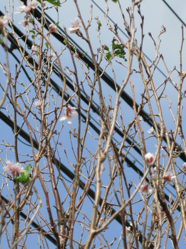 f:id:sa_to_e:20121020204735j:image:h450