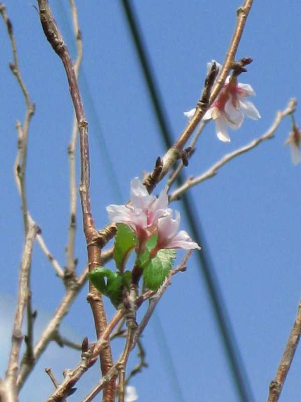 f:id:sa_to_e:20121020204738j:image:h450