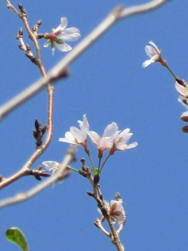 f:id:sa_to_e:20121020204740j:image:h450