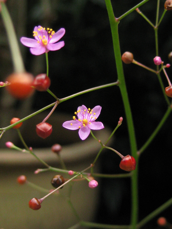 f:id:sa_to_e:20121031204611j:image:h400