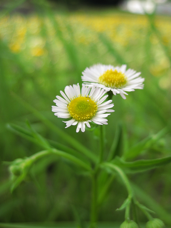 f:id:sa_to_e:20121031204614j:image:h400