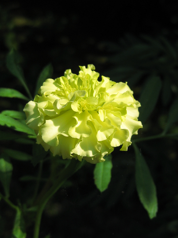f:id:sa_to_e:20121031204622j:image:h400