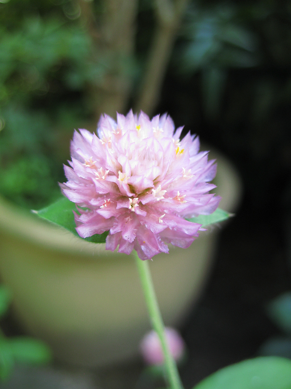 f:id:sa_to_e:20121031204624j:image:h400