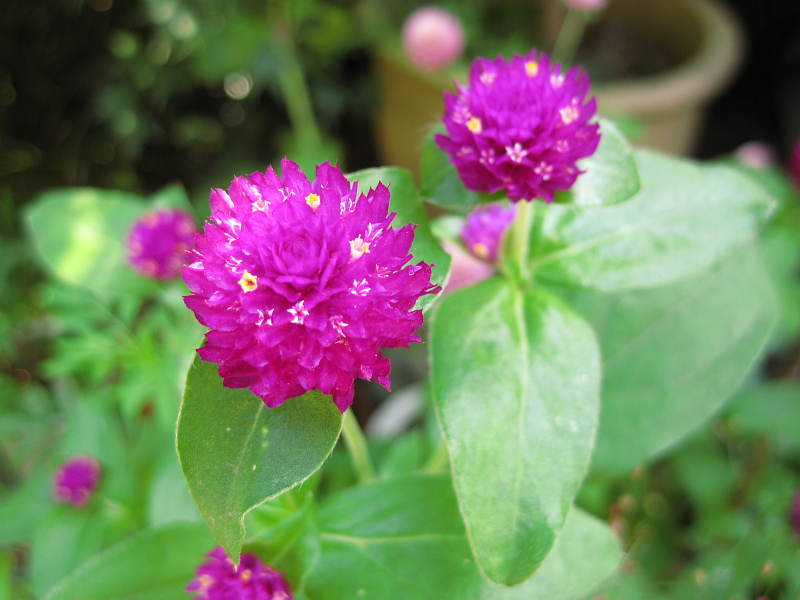 f:id:sa_to_e:20121031204626j:image:w400