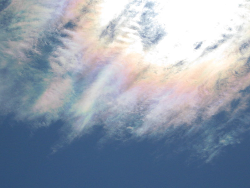 f:id:sa_to_e:20121121204426j:image:w450