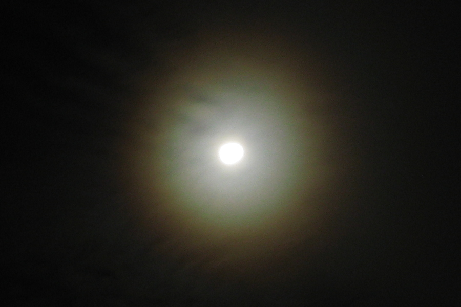 f:id:sa_to_e:20121121204427j:image:w450