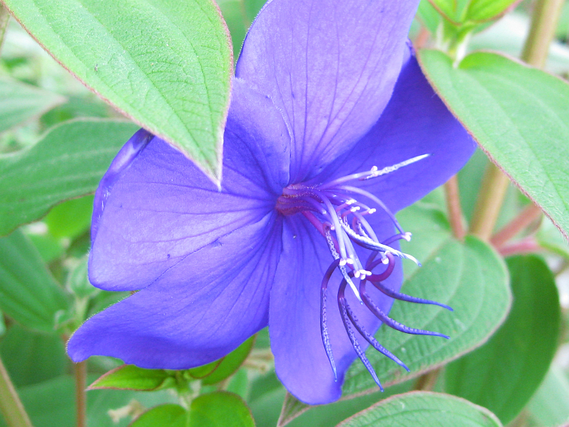 f:id:sa_to_e:20121229205222j:image:w400