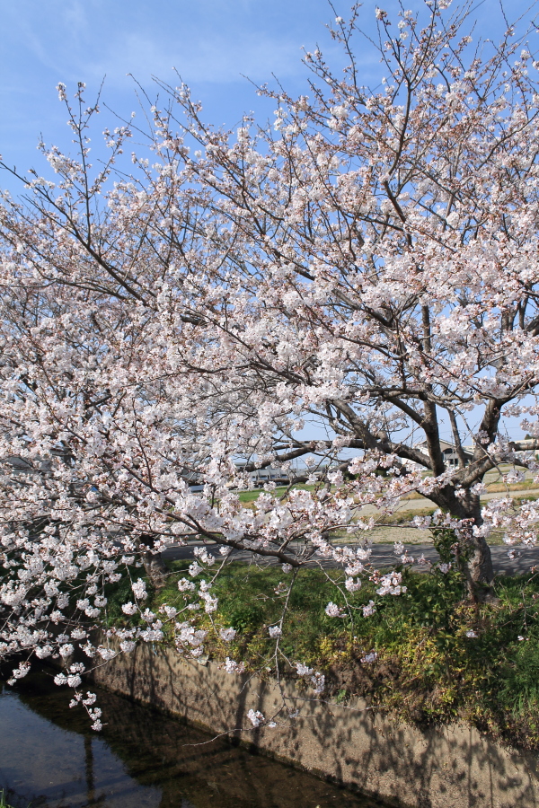 f:id:sa_to_e:20130330210227j:image:h450 f:id:sa_to_e:20130330210227j:image:h450
