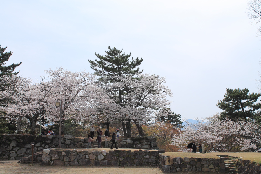 f:id:sa_to_e:20130403203215j:image:w450