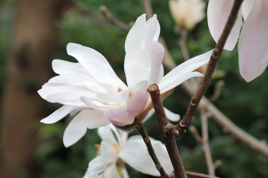 f:id:sa_to_e:20130410203936j:image:w450