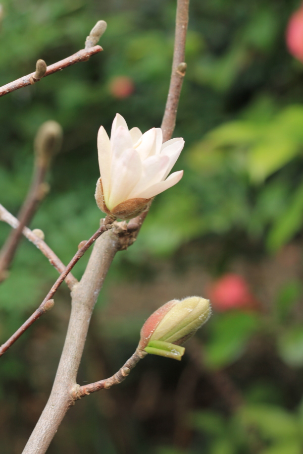 f:id:sa_to_e:20130410203940j:image:h450