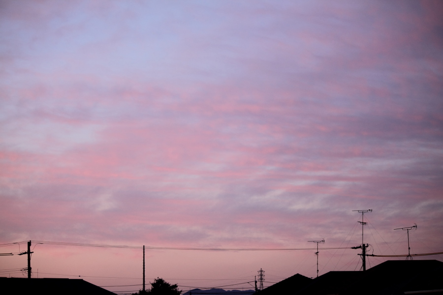 f:id:sa_to_e:20131229213431j:image:w450
