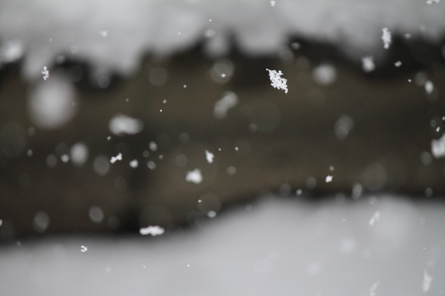 f:id:sa_to_e:20140310212140j:image:w450