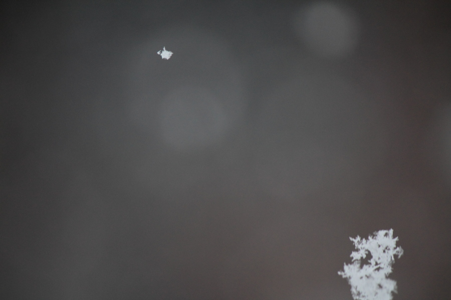 f:id:sa_to_e:20140310212142j:image:w450