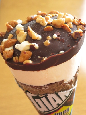 f:id:sa_to_e:20140608210449j:image