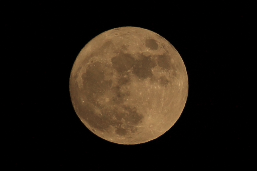 f:id:sa_to_e:20141206212440j:image:w450