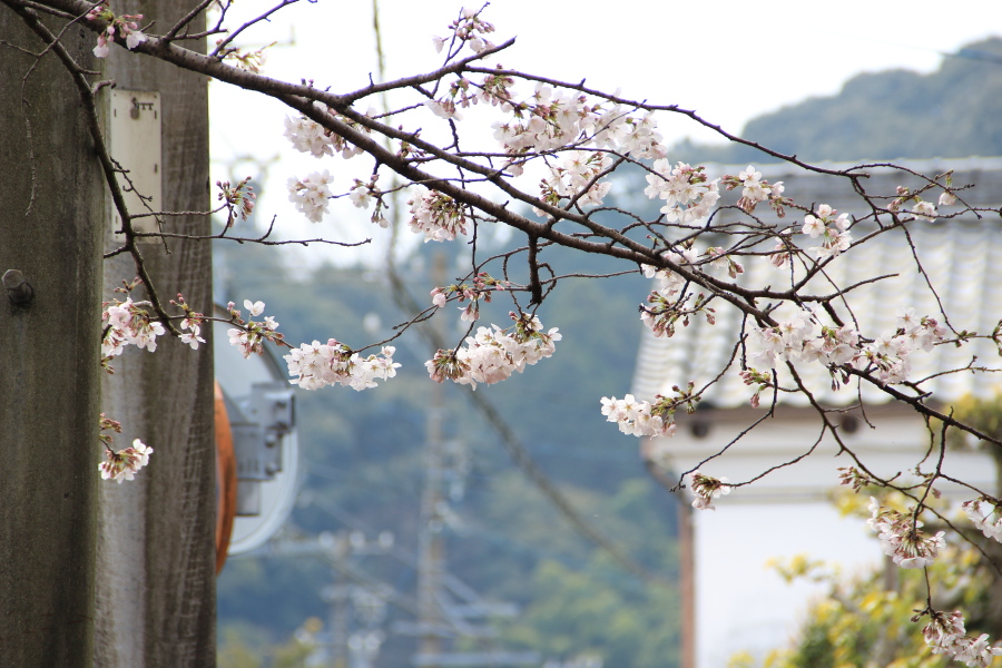 f:id:sa_to_e:20170421204658j:image:w450