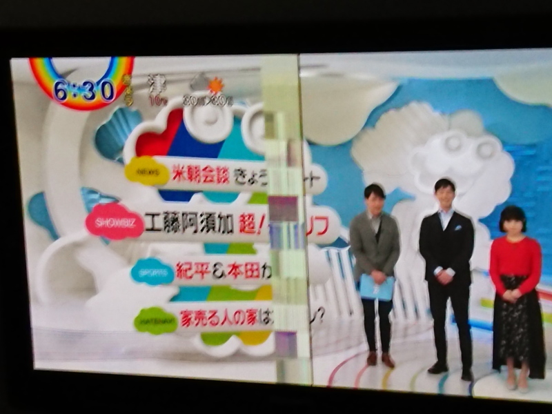 画面が見られないほどのノイズ f:id:sa_to_e:20190309173303j:plain