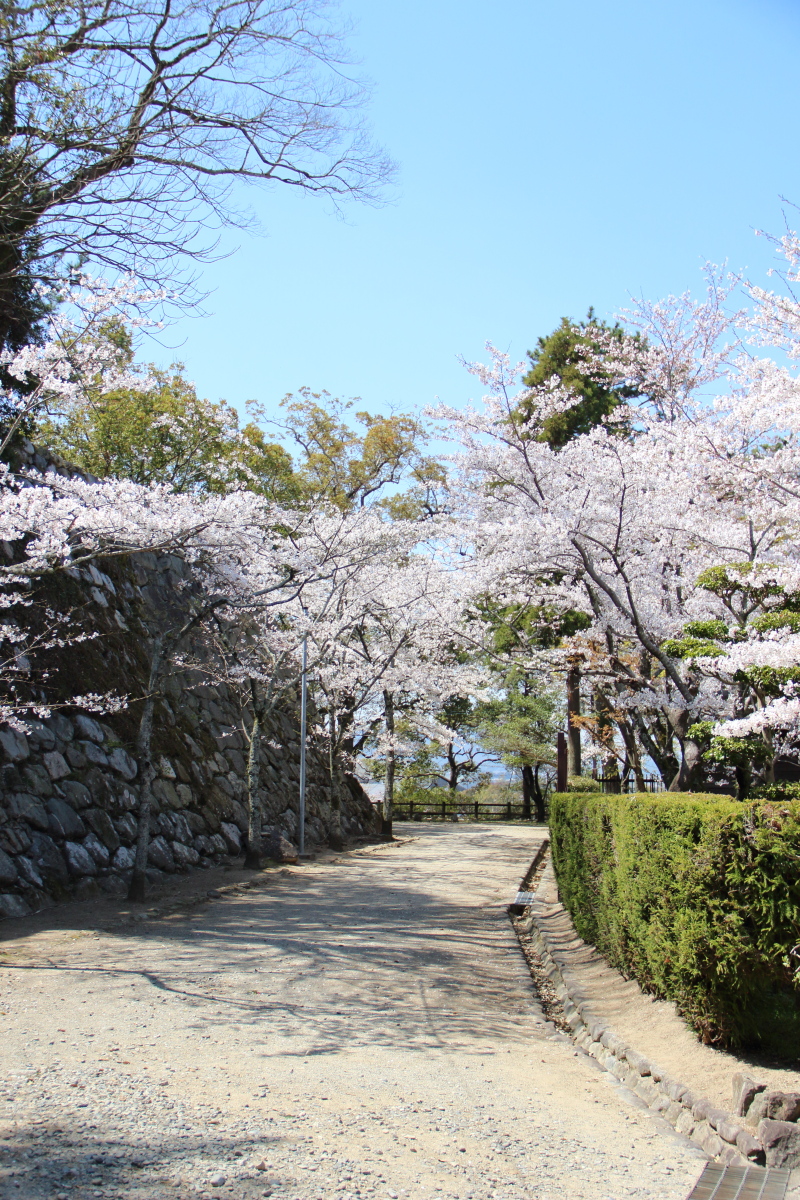 f:id:sa_to_e:20190406203545j:plain