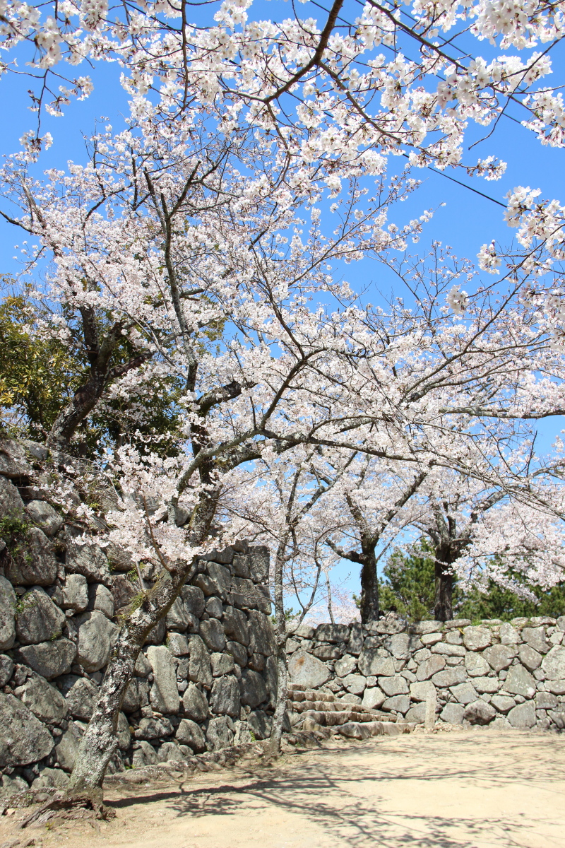 f:id:sa_to_e:20190406203554j:plain