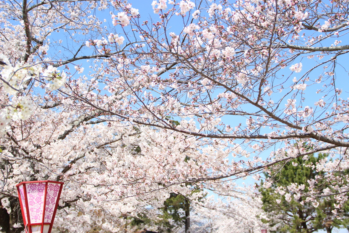 f:id:sa_to_e:20190406203640j:plain